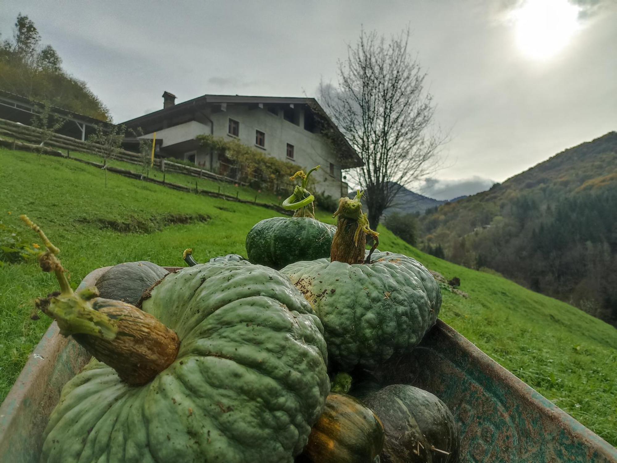 Agriturismo Cascina Cornella Cremeno Exterior foto
