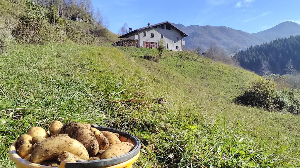 Agriturismo Cascina Cornella Cremeno Exterior foto